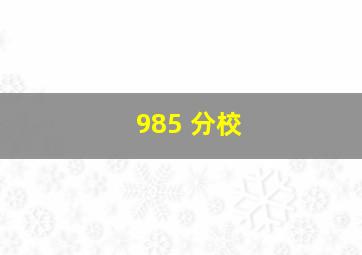 985 分校